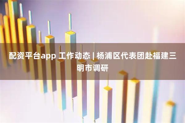 配资平台app 工作动态 | 杨浦区代表团赴福建三明市调研